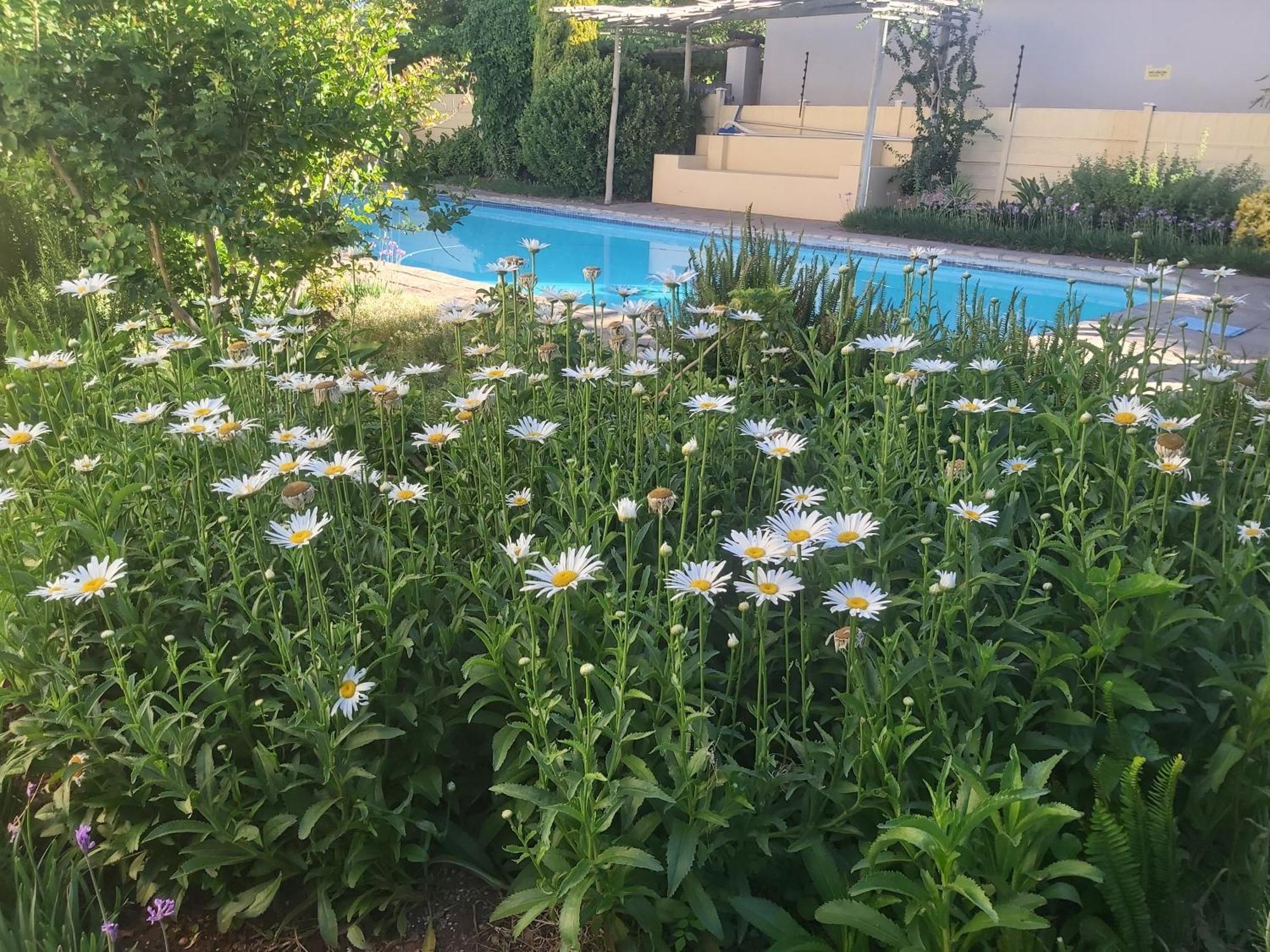 Libby'S Lodge Upington Zewnętrze zdjęcie