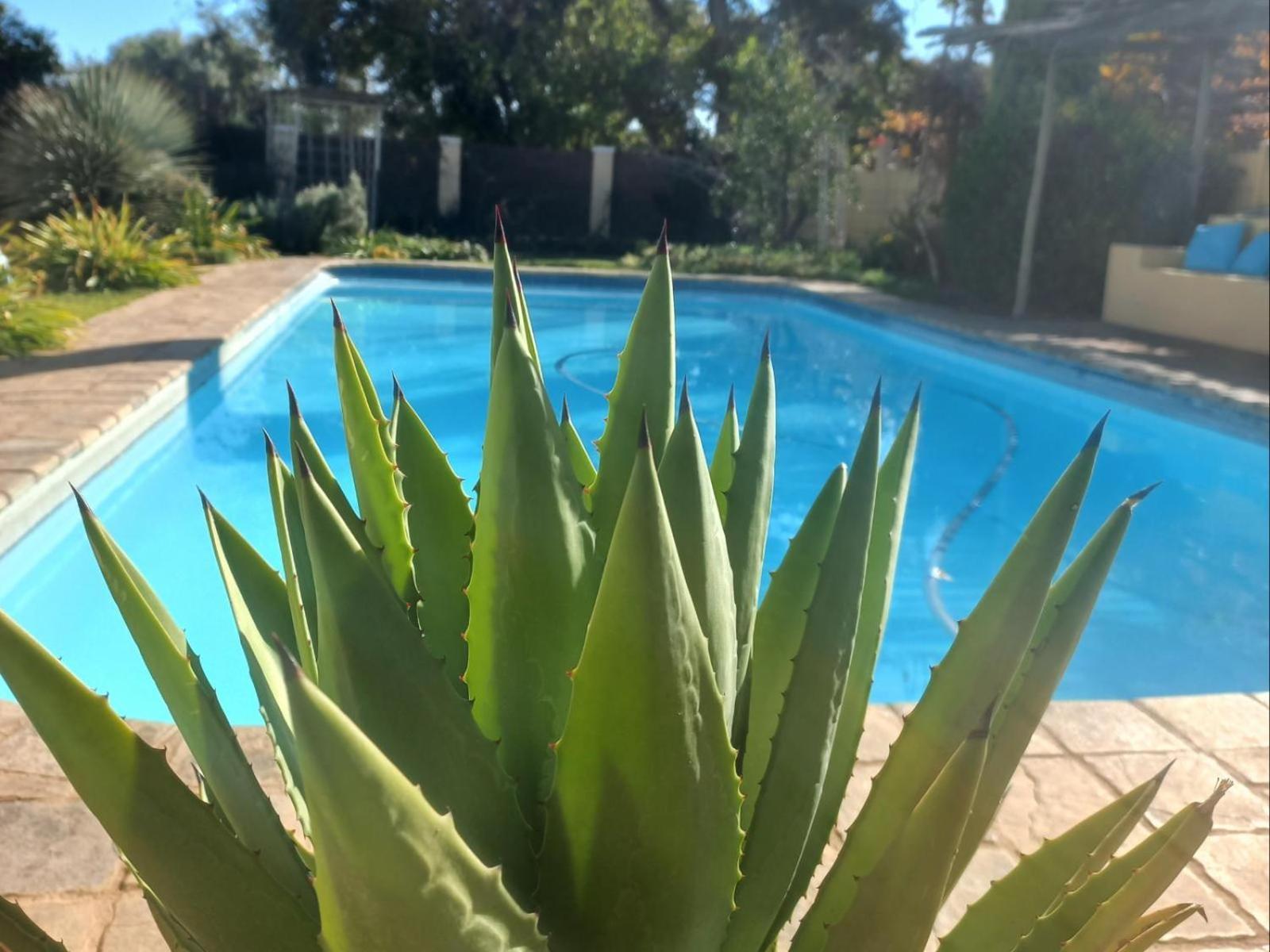 Libby'S Lodge Upington Zewnętrze zdjęcie